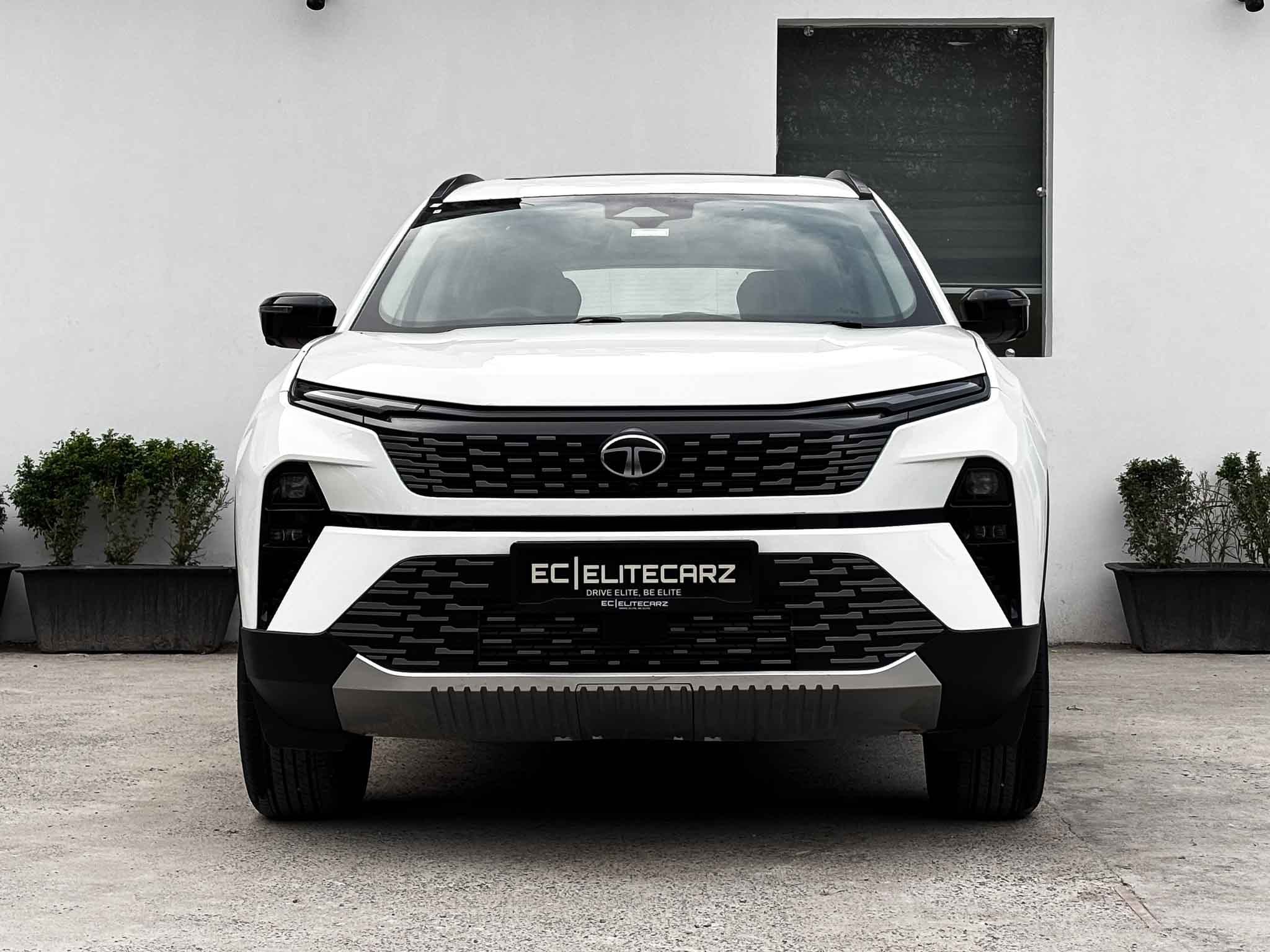  TATA HARRIER ADV X PLUS AT featured image